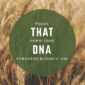 #8: Foods that Harm your DNA