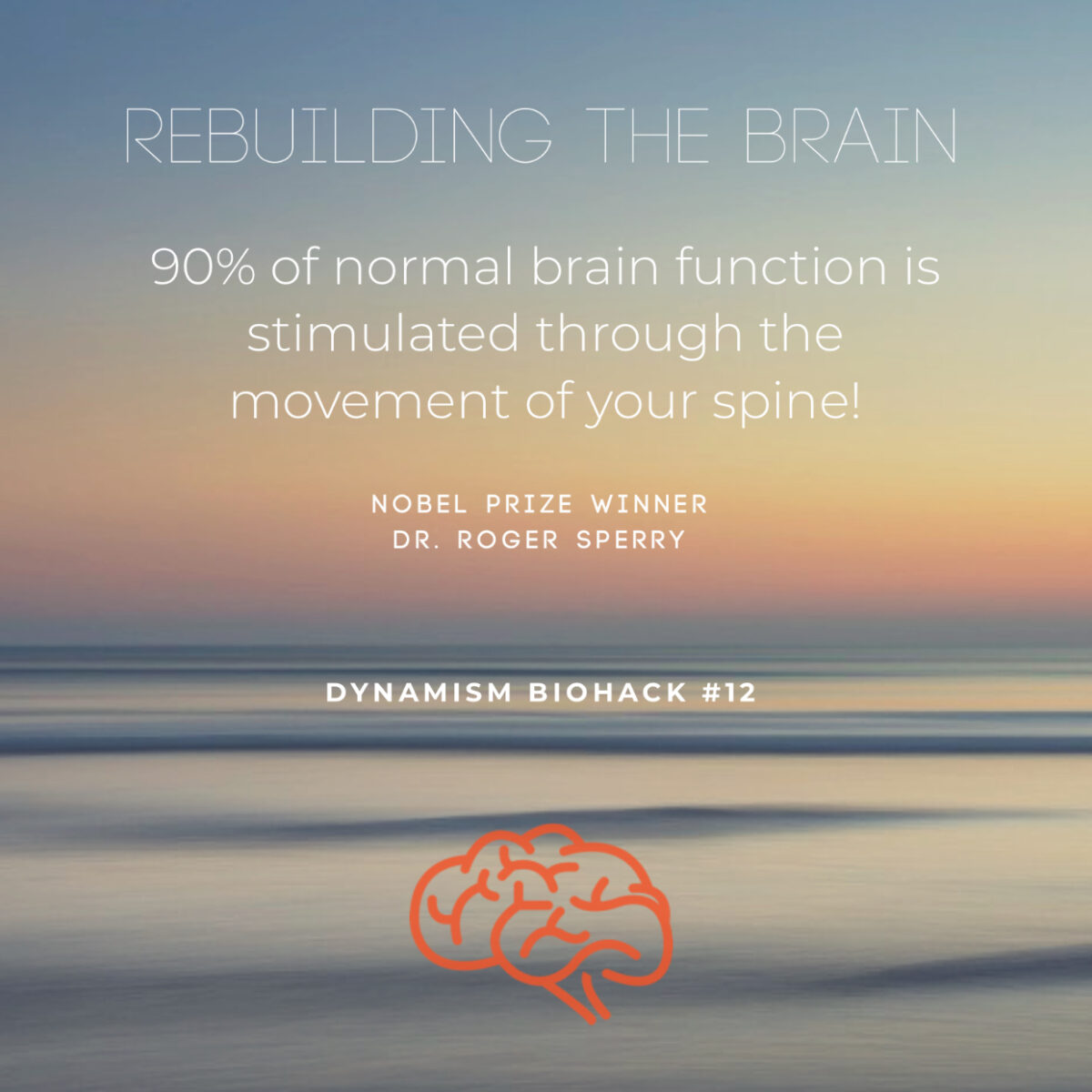 #12: Rebuilding The Brain Through Spinal Motion